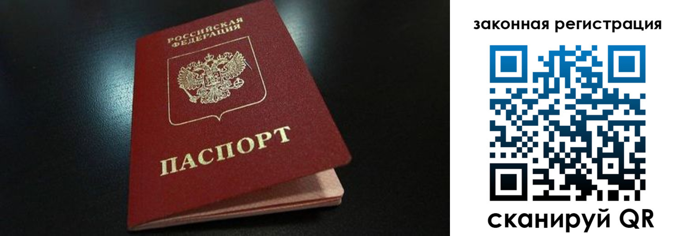 прописка штамп в Камышине