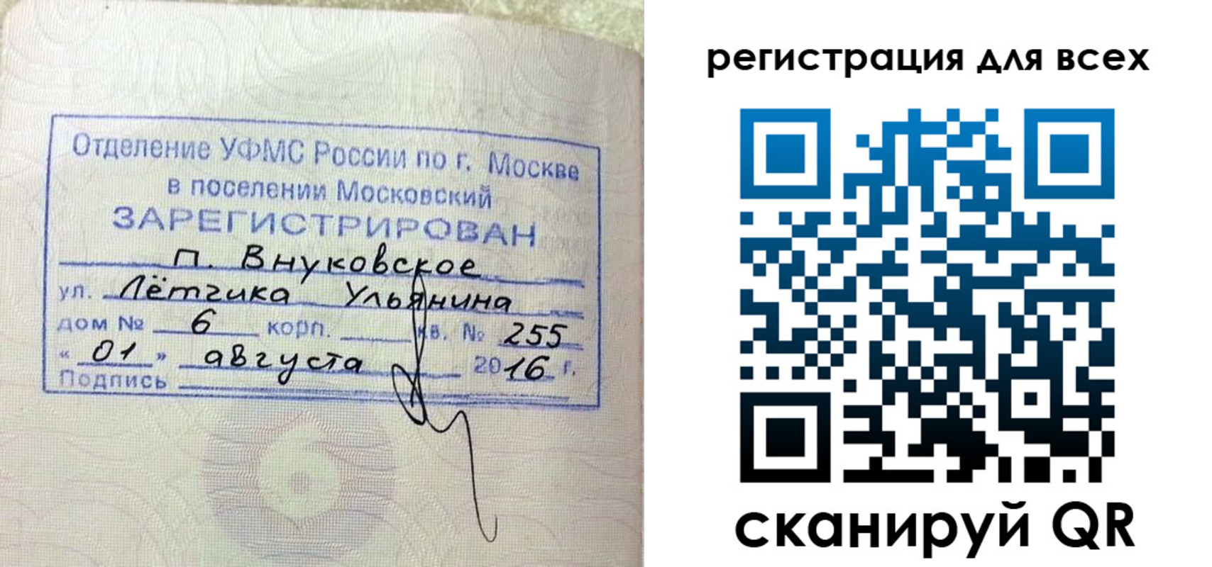 прописка 2025 в Камышине